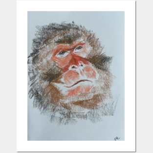 Monkey Posters and Art